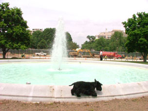 Barney Photo of the Day - May 30, 2004