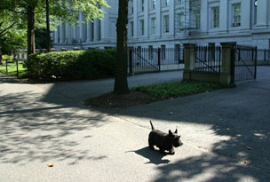 Barney Photo of the Day - June 29, 2004