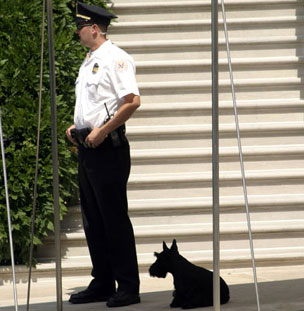 Barney Photo of the Day - July 03, 2004