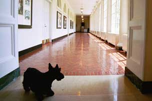 Barney Photo of the Day - July 30, 2004
