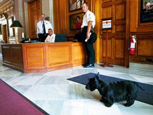 Barney Photo of the Day - August 3, 2004