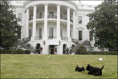 Miss Beazley and Barney meet on the South Lawn. It doesn't take long for them to get acquainted.