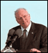 Vice President Cheney