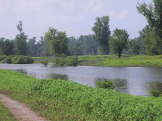 This restored oxbow lake in the Mississippi River watershed in Iowa can hold floodwaters to reduce flooding downriver, settle out sediments that would otherwise smother fish-spawning beds, and filter out pollutants to provide clean water and reduce the dead zone in the Gulf of Mexico. (USDA)