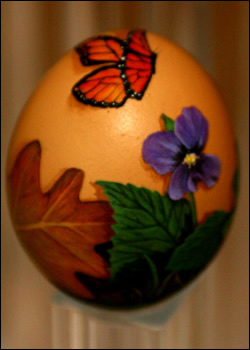 Illinois Egg