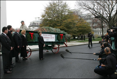 Laura Bush welcomes the arrival of the official White House Christmas tree delivered, Monday, Nov. 28, 2005, on a horse drawn wagon. This year's tree, donated by the Deal Family of Smokey Holler Tree Farm in Laurel Springs, N.C., is the 40th year the National Christmas Tree Growers Association has provided a tree to the White House.