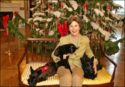 Mrs. Laura Bush poses with the family pets in the Blue Room in front of the White House Christmas Tree on December 1, 2006.