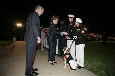 President George W. Bush and Laura Bush greet Marines following an Evening Parade, May 5, 2006, at the Marine Barracks in Washington, D.C.