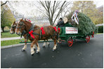 Scott D. Harmon of Brandy Station, Va., drives a horse-drawn carriage delivering the official White House Christmas tree Monday, Nov. 26, 2007, to the North Portico of the White House. The 18-foot Fraser Fir tree, from the Mistletoe Meadows tree farm in Laurel Springs, N.C., will be on display in the Blue Room of the White House for the 2007 Christmas season.