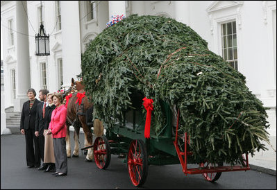 Mrs. Laura Bush welcomes the arrival of the official White House Christmas tree Monday, Nov. 26, 2007, to the North Portico of the White House. The 18-foot Fraser Fir tree, from the Mistletoe Meadows tree farm in Laurel Springs, N.C., will be on display in the Blue Room of the White House for the 2007 Christmas season. Joining Mrs. Bush, from left are, Beth Walterscheidt, president of the National Christmas Tree Association, and Joe Freeman and his wife Linda Jones of Mistletoe Meadow tree farm in Laurel Springs, N.C. 