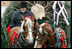 Scott D. Harmon of Brandy Station, Va., drives a horse-drawn carriage with horses "Karry and Dempsey" delivering the official White House Christmas tree Monday, Nov. 26, 2007, to the North Portico of the White House. The 18-foot Fraser Fir tree, from the Mistletoe Meadows tree farm in Laurel Springs, N.C., will be on display in the Blue Room of the White House for the 2007 Christmas season.