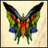"Butterfly"- by Albert Bierstadt
