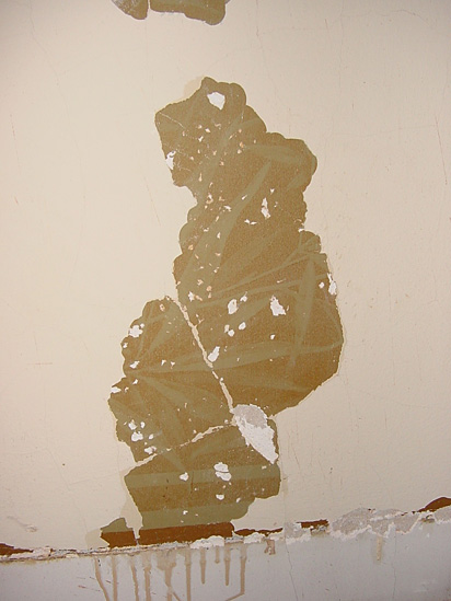 A fancy wall finish from 1888, and decorated with palm leaves, was found under peeling paint in a first floor office originally for War Department staff.