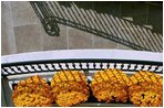 Orange Chrysanthemums adorn the Blue Room Balcony of the White House South Portico.