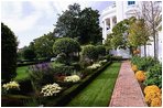 Varieties of Chrysanthemums, Salvia, Santolina and Asters bloom in the Rose Garden of the White House during the 2004 fall season.