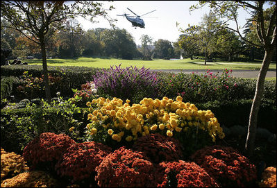 President George W. Bush departs the autumnal hues of the Rose Garden aboard Marine One Oct. 30, 2006.