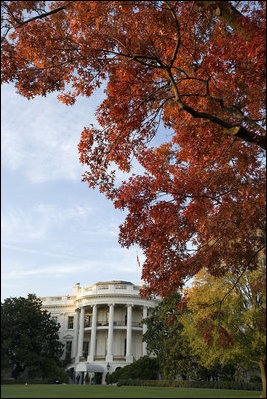 The setting sun paints a Scarlet Oak tree on the White House South Lawn in the rich colors of the 2006 fall season.