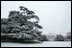 Snow covers the South Lawn of the White House and the atlas cedar tree Monday morning, Jan. 22, 2007, creating a winter season postcard scene.