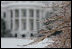 A thin layer of ice covers the branches of a tree on the South Lawn of the White House Monday morning, Jan. 22, 2007, left behind from an icy snowstorm Sunday that covered the Washington, D.C. area.