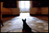 From the Diplomatic Reception Room doorway on April 16, 2002, Barney waits attentively for President Bush. Before the 1902 renovation, the Diplomatic Room and the other rooms on the ground floor were used for storage. 