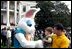 Colt Ozmen, 20-month-old son of Navy Petty Officer 2nd Class Jeff Ozmen, thinks twice about hugging an Easter Bunny bigger than his dad. Ozmen is a corpsman assigned to Fort Detrick, Md. Father and son were guests at the April 21 Easter Egg Roll on the White House lawn. 