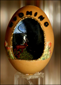 Wyoming Egg