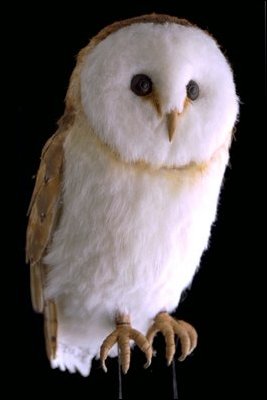 Owl ornament by Jerry Gaddis, Topeka, KS