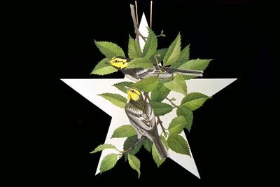 Star ornament by Stuart Gentling, Fort Worth, TX