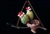 Santa birds ornament by Douglas Rankin, Saipan, CN MP