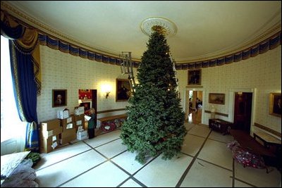 From hanging the lights to lighting the President's portrait, staff and volunteers transform the stately Blue Room into a place glistening with holiday cheer. Each year the chandelier in the Blue Room is removed to make way for the White House Christmas tree.