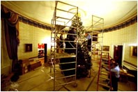 The work begins by hanging lights on the White House Christmas tree.