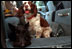 Spot and Barney enjoy a ride in a car, March 27, 2002. 