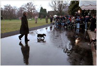 The President walks into the White House while Barney tags along, January 1, 2002.