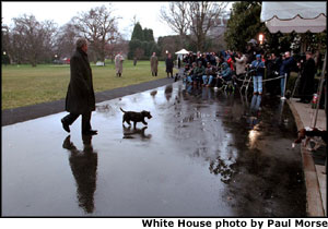 The President walks into the White House while Barney tags along, January 1, 2002.