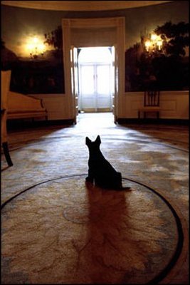 Barney stands watch in the Diplomatic Room, April 16, 2002.