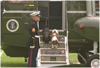 Spotty and Barney return to the White House July 8, 2002.