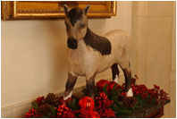 Macaroni, one of the two pets belonging to Caroline, the daughter of President John F. Kennedy and Jackie Kennedy, stands near the State Dining Room doors. The pony, which roamed freely all around the White House, received fan mail from children all over the country. President Kennedy served from 1961 to 1963.