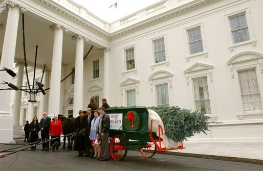 Laura Bush receives the official White House Christmas Tree, a Noble Fir, from the Hedlund Family of Elma, Wash., at the North Portico of the White House Dec. 2. The Hedlund family was the winner of the National Christmas Tee Association's "Grand Champion" grower contest. White House photo by Tina Hager.