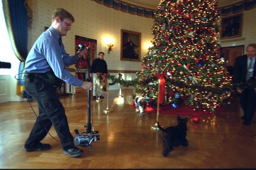 As a camera captures his every move, Barney follows behind Spot as they take a look at the bird ornaments on the White House Christmas Tree in the Blue Room, Monday Dec. 9, 2002. White House photo by Paul Morse.
