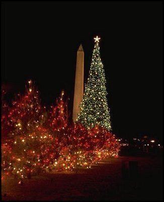 Red lights adorn the state trees surrounding the tree in 1965. Smaller live trees representing the 50 states, five territories, and the District of Columbia, form a 'Pathway of Peace.' 