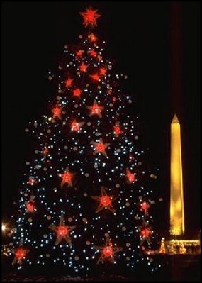 Large red stars adorned the 1981 tree. 