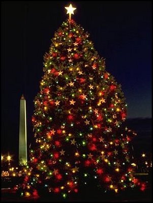 The 1990 tree was filled with stars, balls and gold and red lights. 