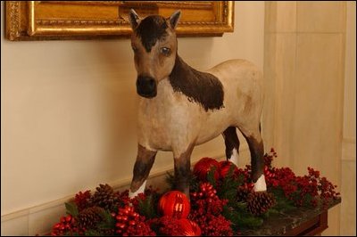 Macaroni, one of the two pets belonging to Caroline, the daughter of President John F. Kennedy and Jackie Kennedy, stands near the State Dining Room doors. The pony, which roamed freely all around the White House, received fan mail from children all over the country. President Kennedy served from 1961 to 1963.