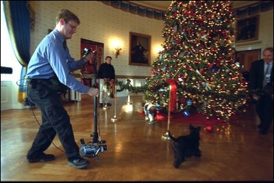 As a camera captures his every move, Barney follows behind Spot as they take a look at the bird ornaments on the White House Christmas Tree in the Blue Room, Monday.