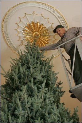 Mike Lawn, head groundskeeper of the National Park Service at the White House, steadies the White House Christmas Tree, a large Fraser Fir, in the Blue Room of the White House, Monday, Nov. 28, 2005, prior to being decorated for the holiday season.