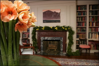 Amaryllis flowers take center stage and Boxwood Garland are draped over the mantel in the Library that is home to Georgia O’Keefe’s painting, 'Bear Lake'.