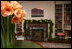 Amaryllis flowers take center stage and Boxwood Garland are draped over the mantel in the Library that is home to Georgia O’Keefe’s painting, 'Bear Lake'.