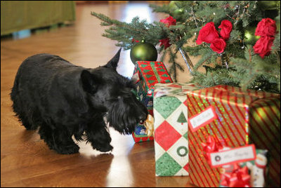On his walk, Barney discovers a few presents. However, they are addressed to Miss Beazley, and not him!