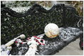 As Barney and Miss Beazley frolic among the holiday decorations, their toys are left outside in the snow Monday, Dec. 5, 2005.