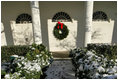 Running out to play in the snow, Barney and Miss Beazley leave a trail of footprints in the Rose Garden, Friday, Dec. 9, 2005.